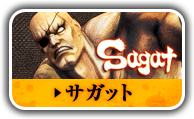 サガット