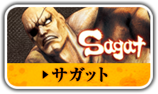 サガット